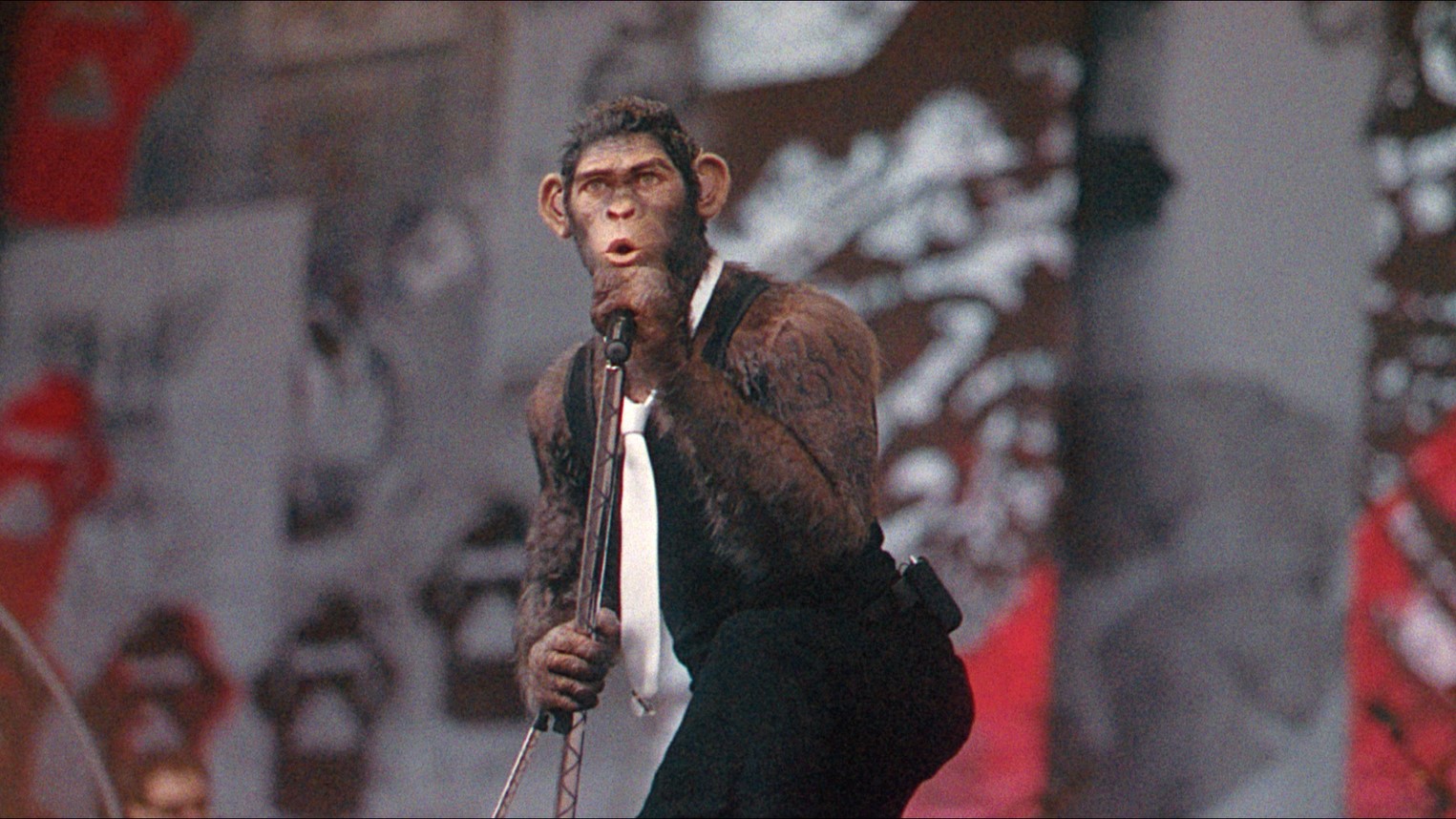 Where To Watch Better Man Online