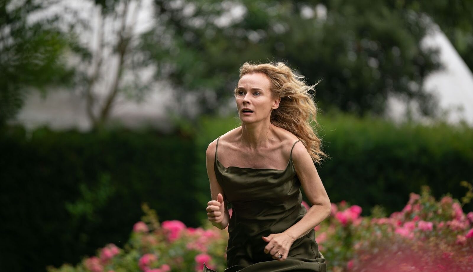 Little Disasters: Everything You Need To Know