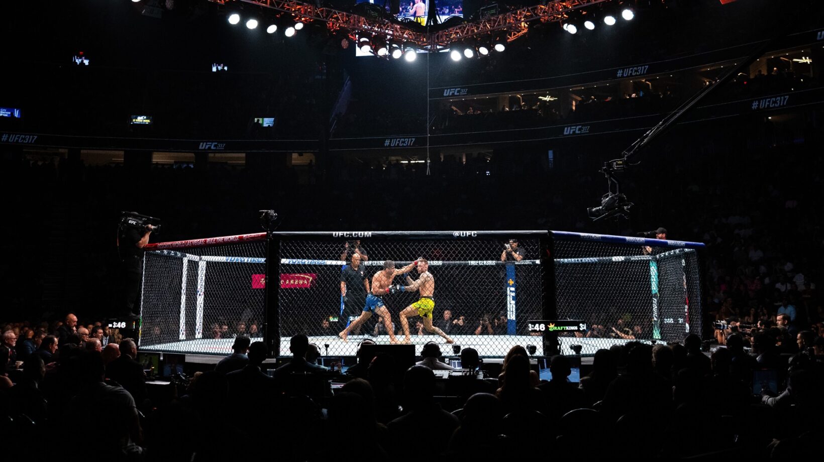 Inside The UFC Octagon®: 5 Things To Know