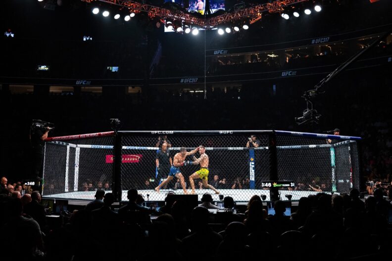 Inside The UFC Octagon®: 5 Things To Know