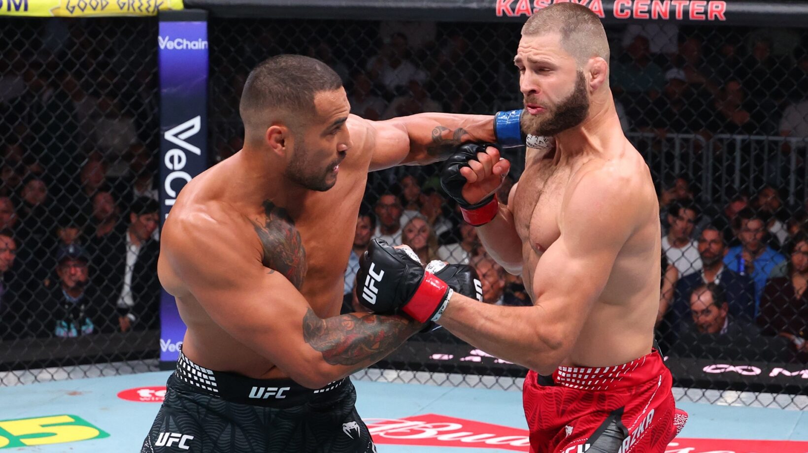 UFC 327: Procházka vs. Ulberg: Results And Highlights