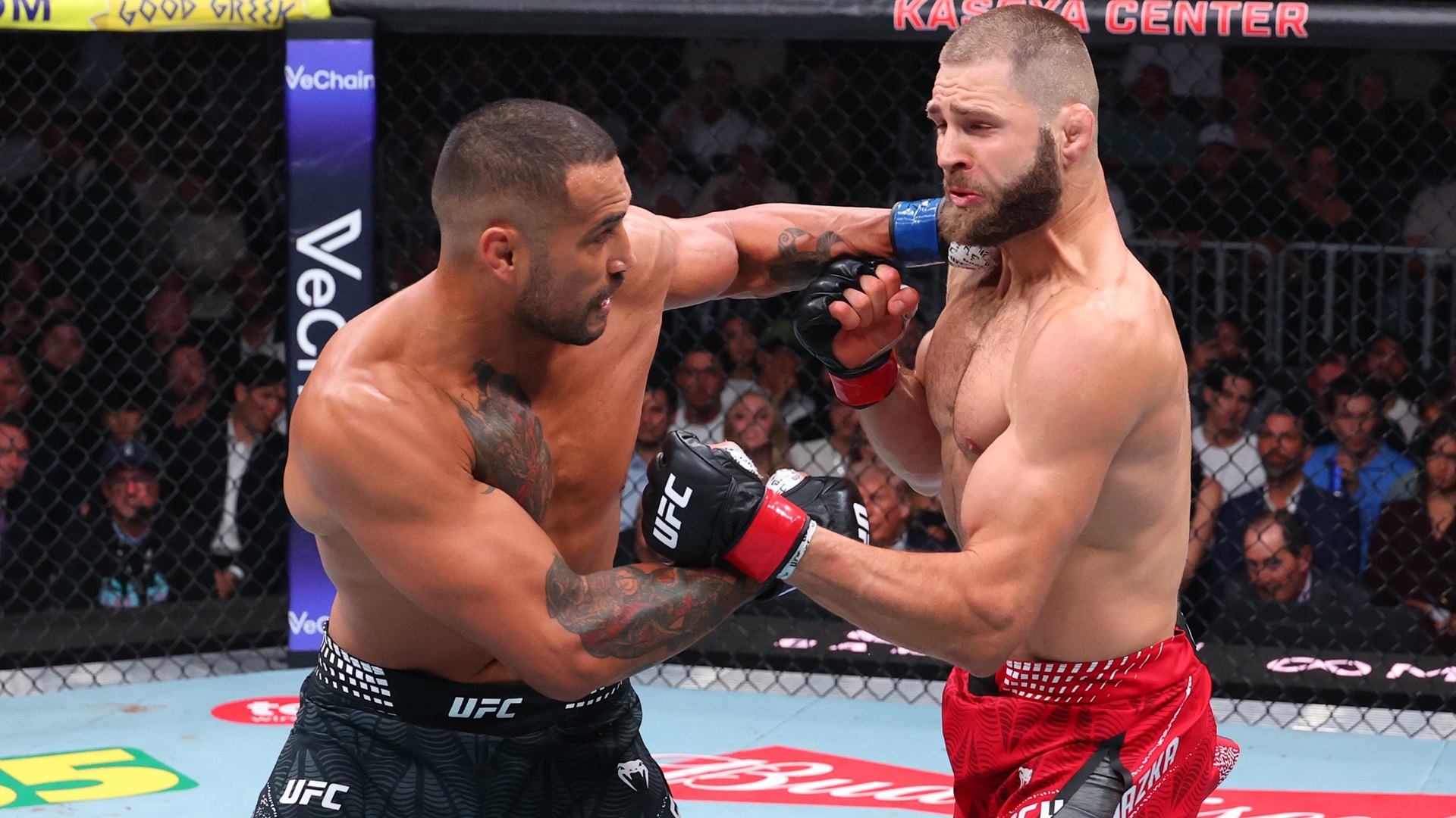 UFC 327: Procházka vs. Ulberg: Results And Highlights