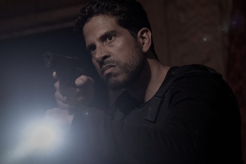 Criminal Minds: Evolution Season 19: Everything You Need To Know 