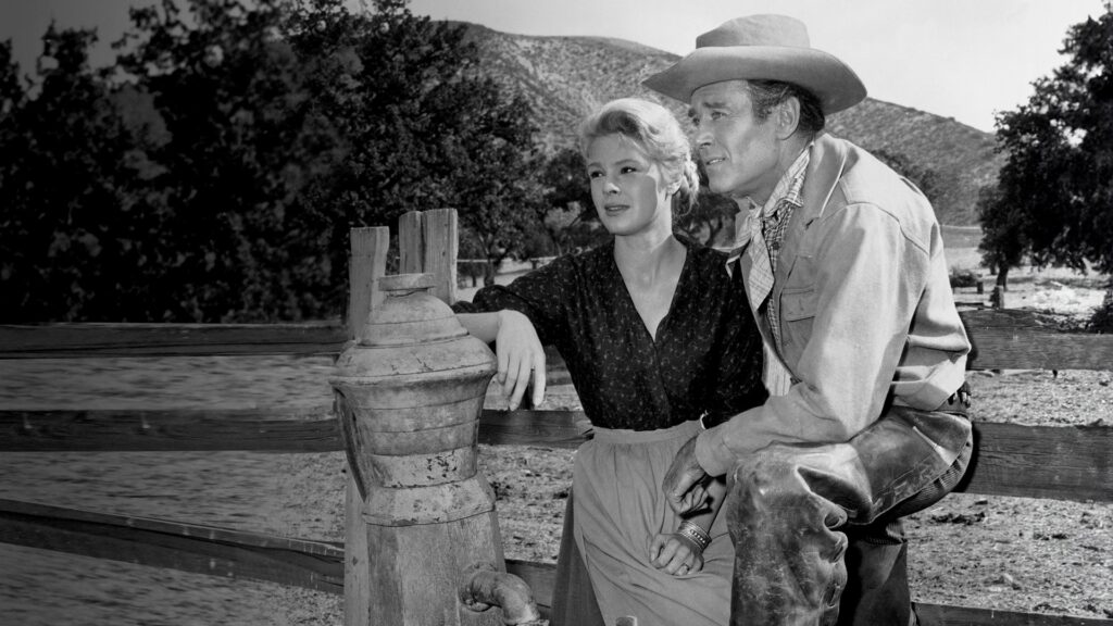 The Tin Star