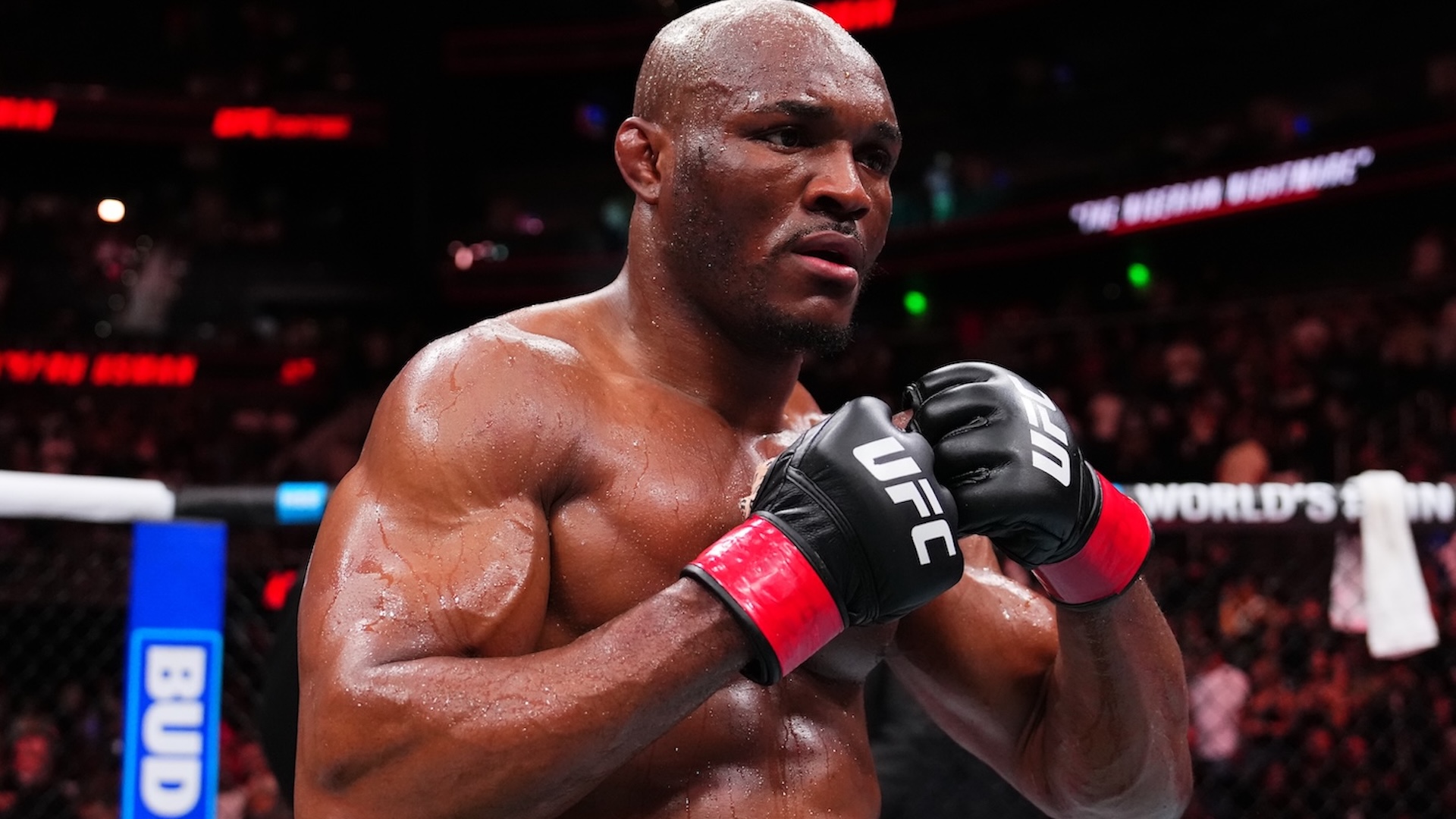 How To Watch UFC Fight Night: Du Plessis vs. Usman 