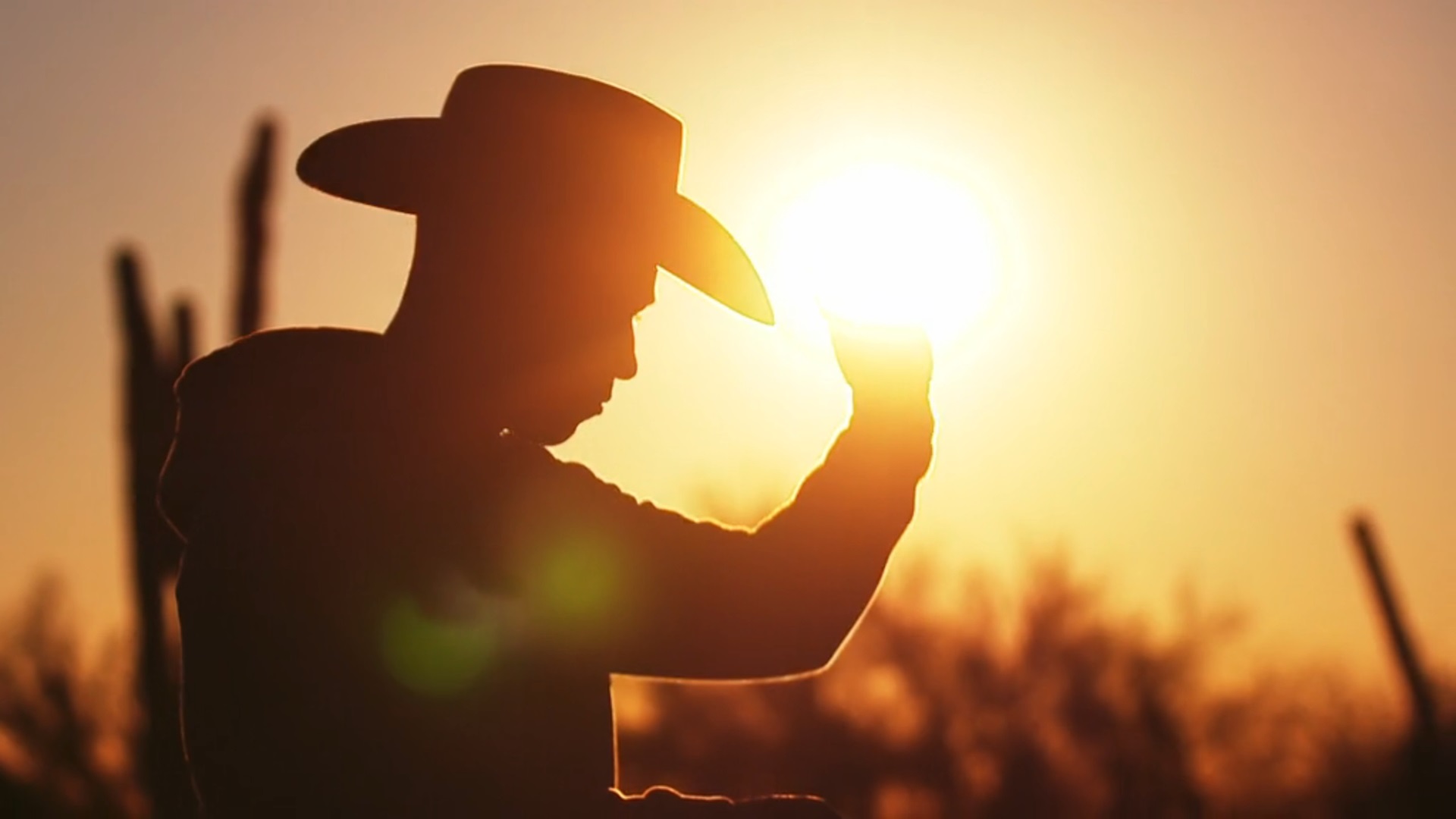 The Last Cowboy